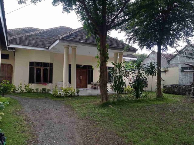 place photo 2