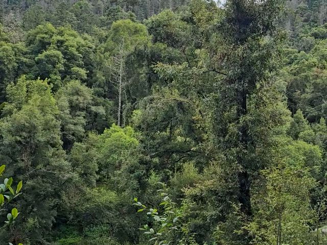 place photo 37