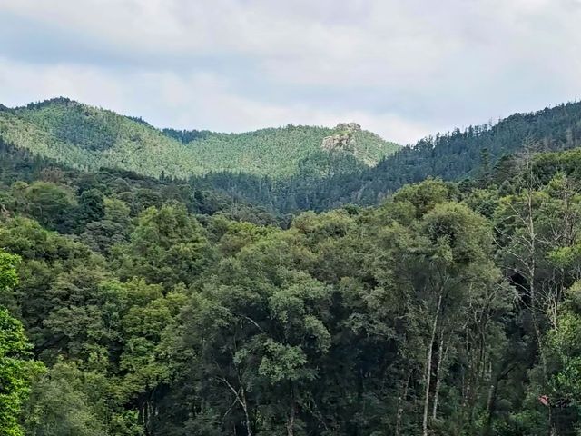 place photo 34