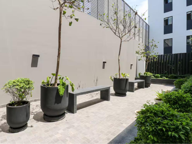 place photo 24