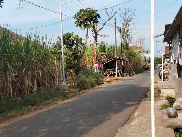 place photo 8