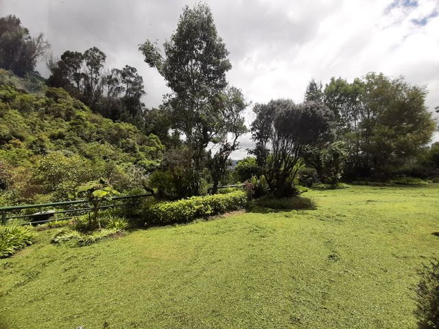 place photo 43