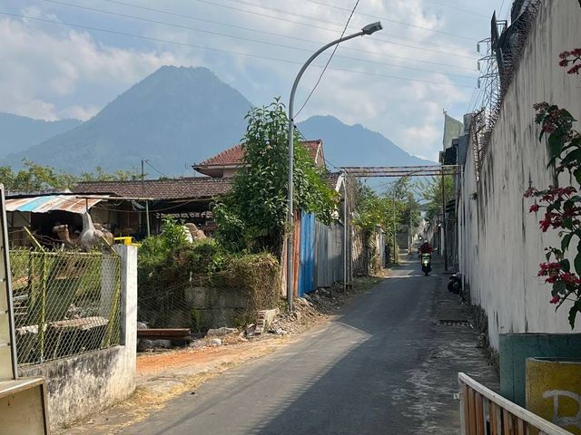 Investasi Menguntungkan! Rumah Kost 11 Kamar Sudah Berpenghuni Dekat Wisata