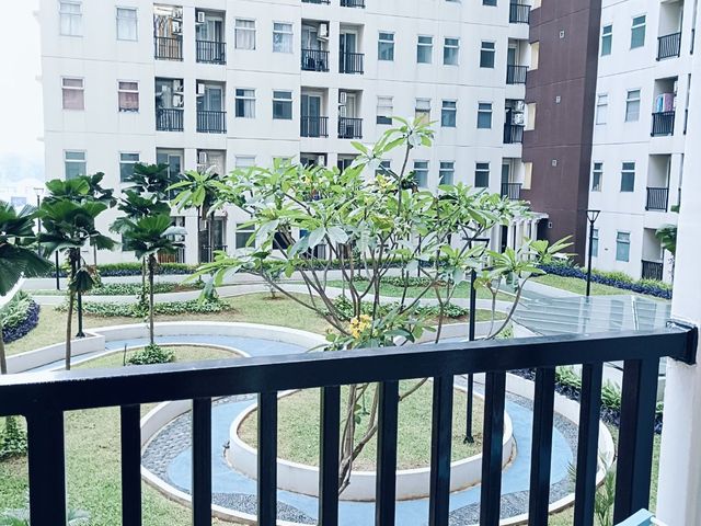 place photo 12
