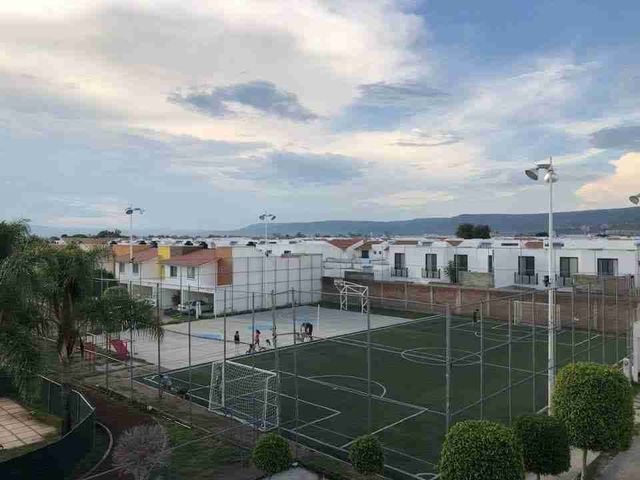 place photo 16
