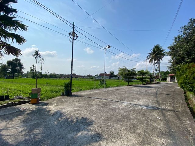 place photo 15