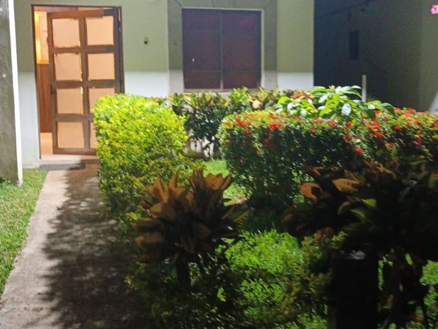 place photo 26