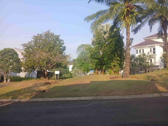 place photo 17