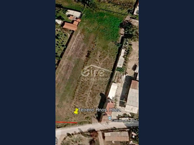 place photo 7