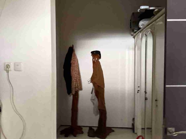 place photo 29