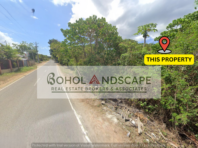 place photo 7