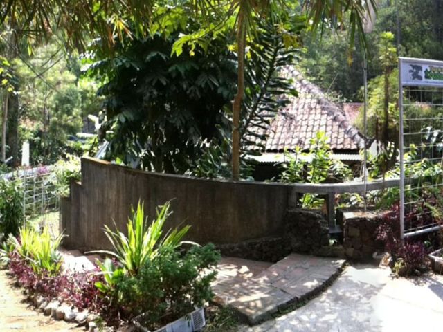 place photo 34
