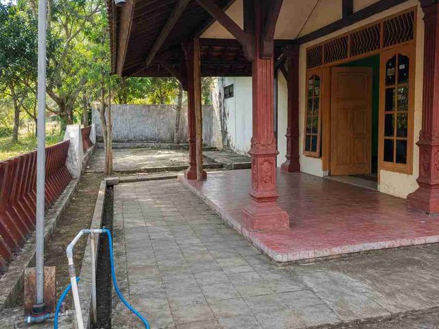 place photo 3