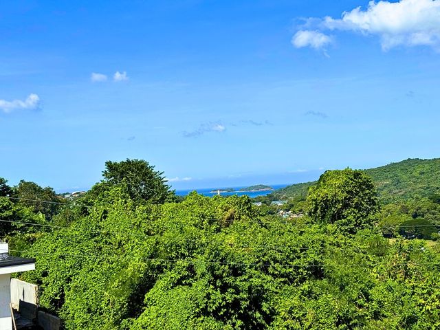 place photo 44