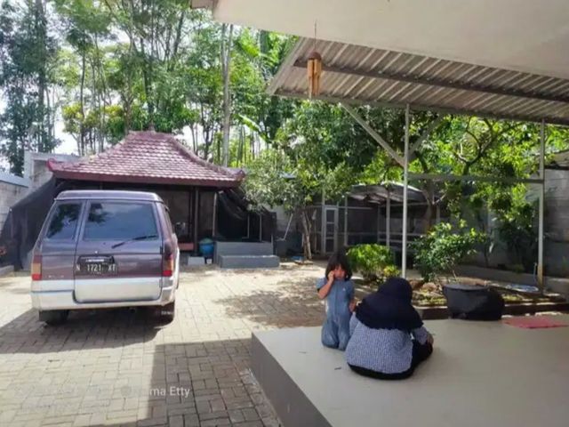 place photo 11