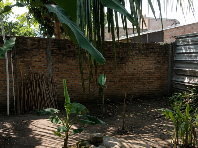 place photo 18