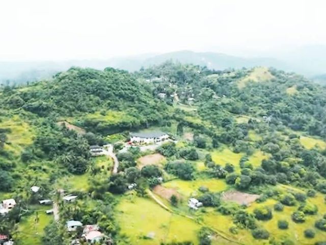 place photo 36