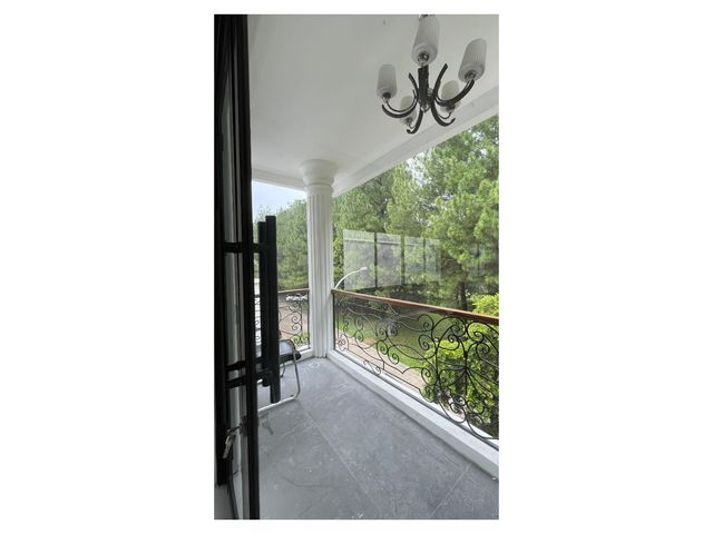place photo 39