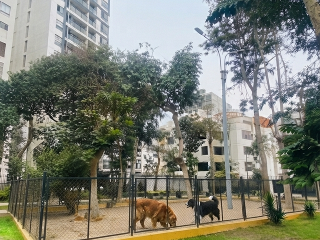 place photo 34
