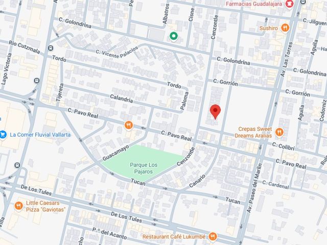 place photo 7
