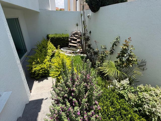 place photo 50