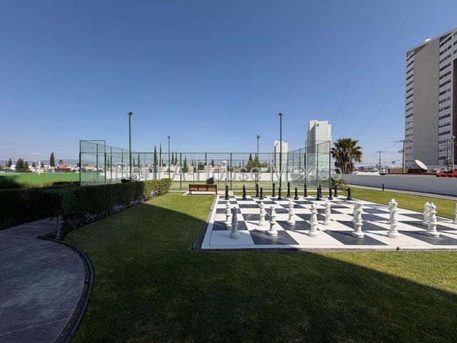 place photo 46