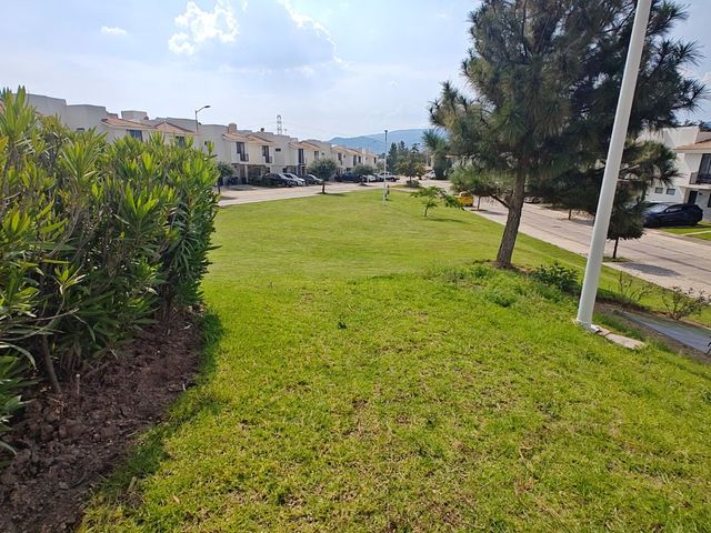 place photo 30