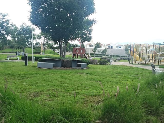 place photo 34