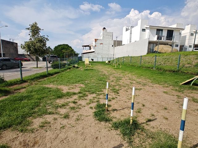 place photo 39