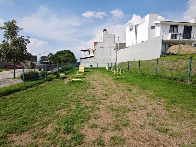 place photo 41
