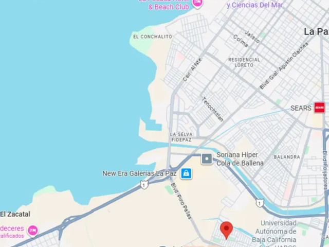 place photo 5