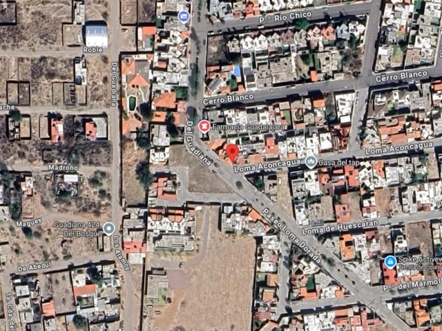place photo 11