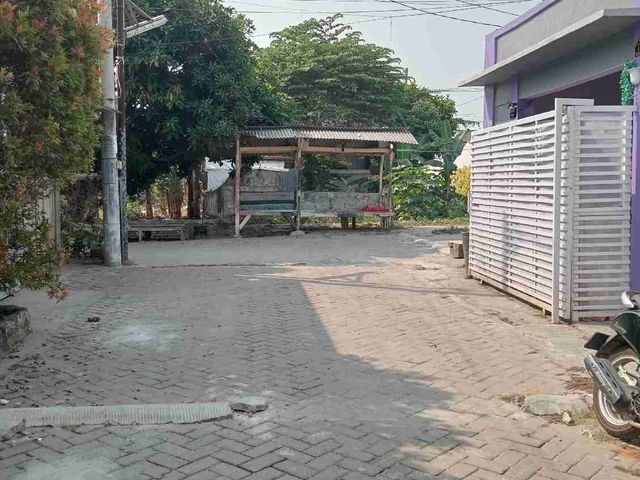 place photo 8