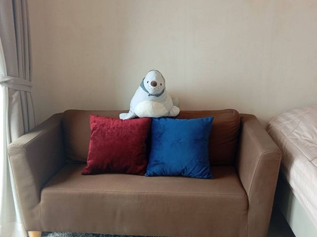 place photo 12