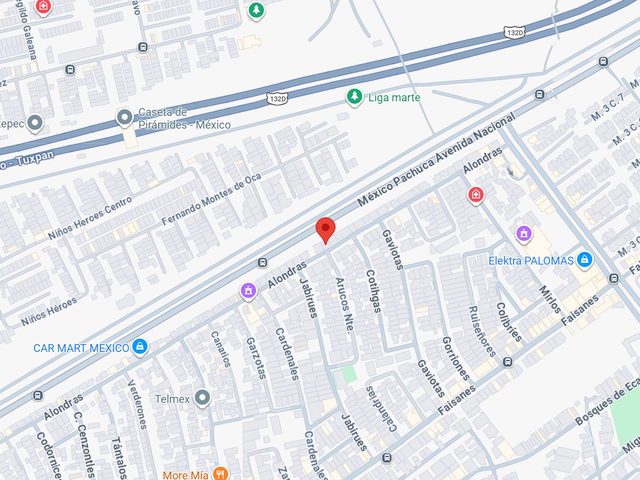place photo 12
