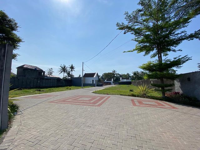 place photo 12