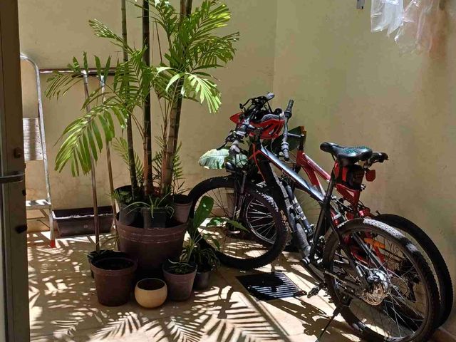 place photo 31