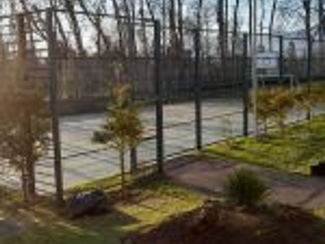 place photo 23