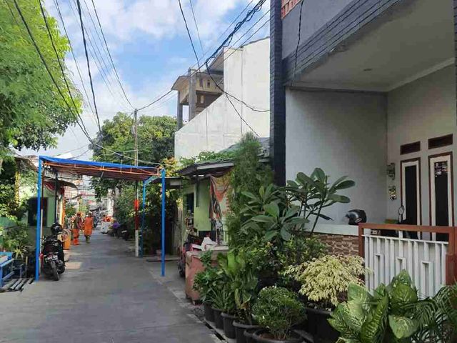 place photo 14