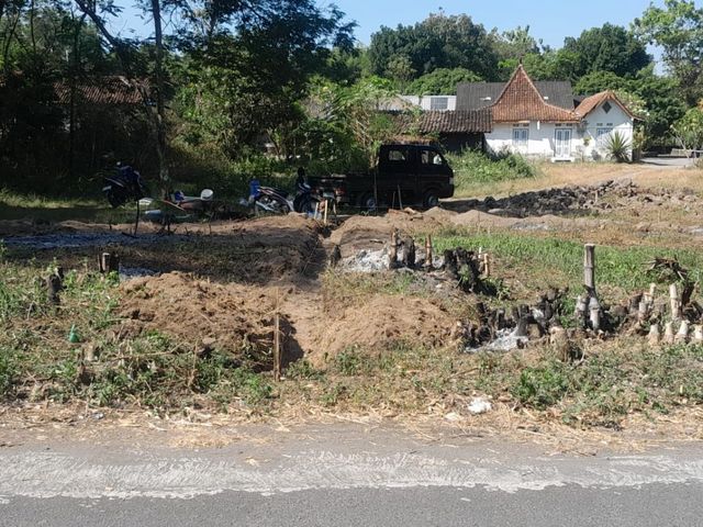 place photo 7