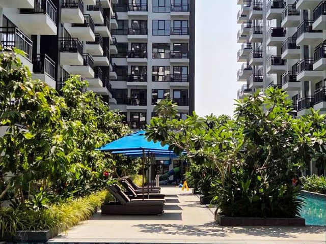 place photo 41