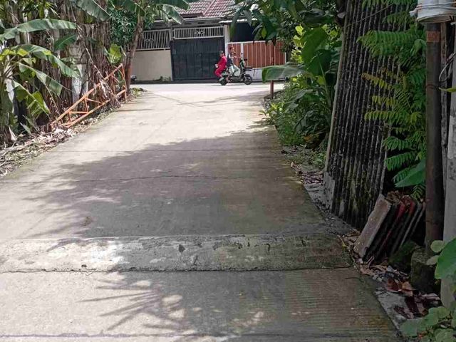 place photo 12