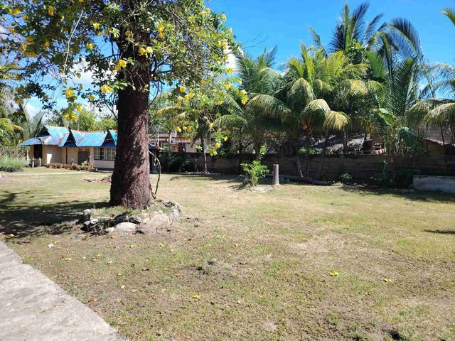 place photo 15