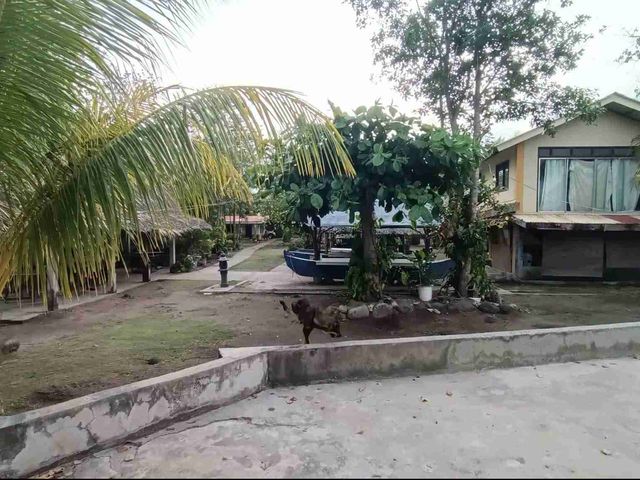 place photo 26