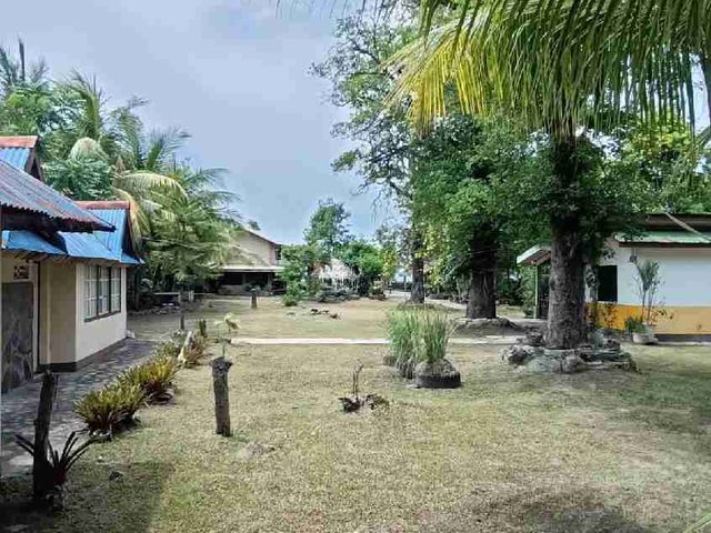 place photo 31