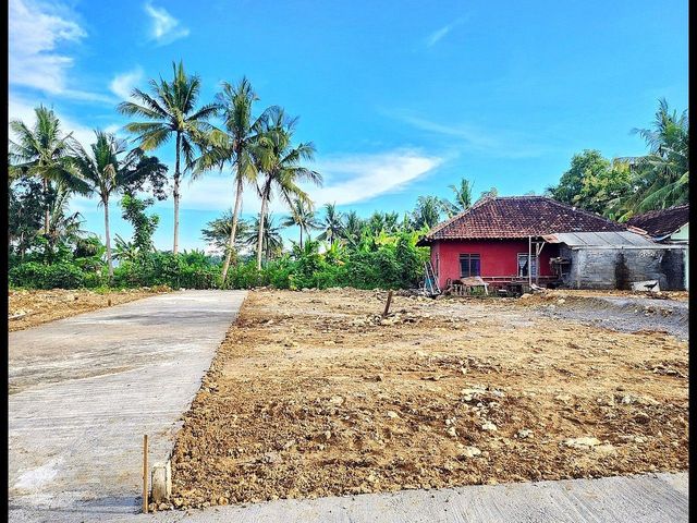 place photo 3