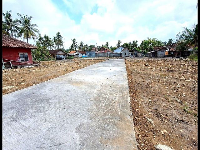 place photo 7