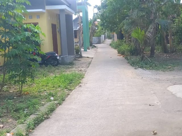 place photo 4