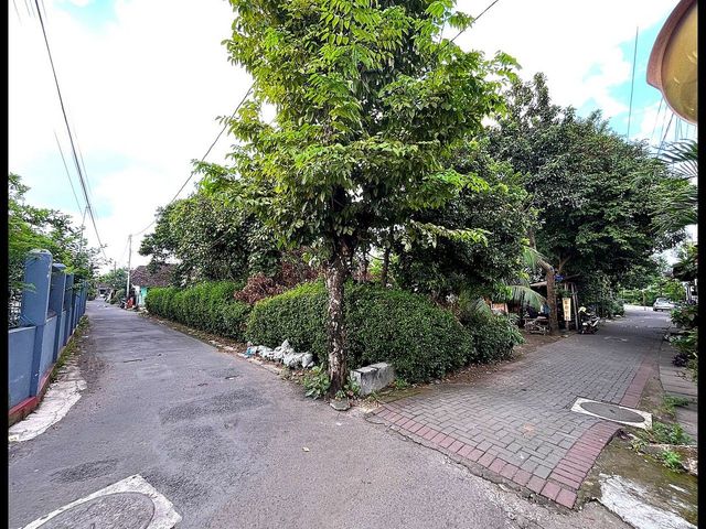 place photo 6