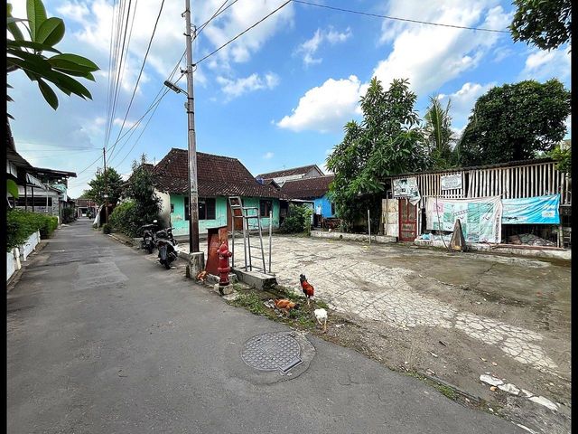 place photo 5